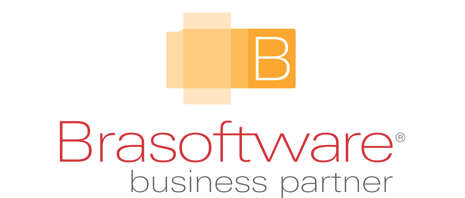 Logo Brasoftware Partner