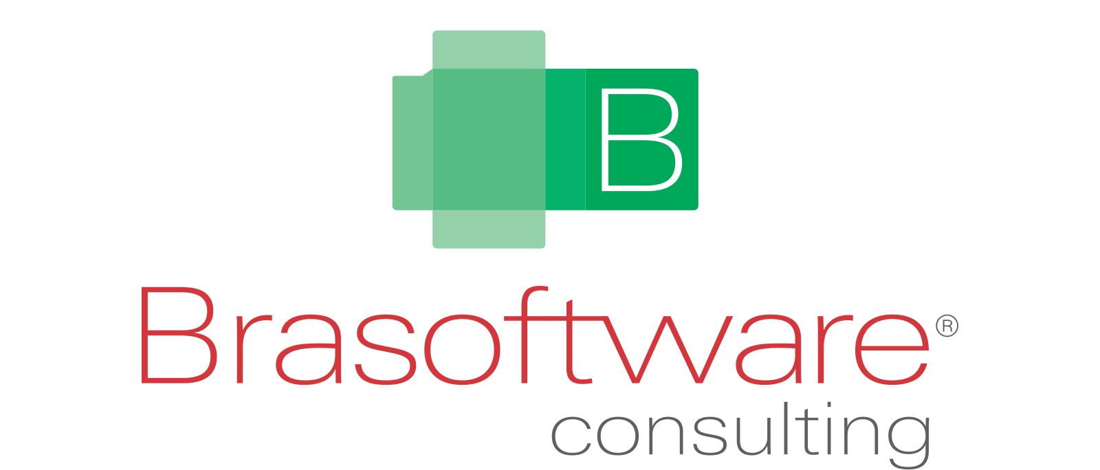 Logo Brasoftware Consulting