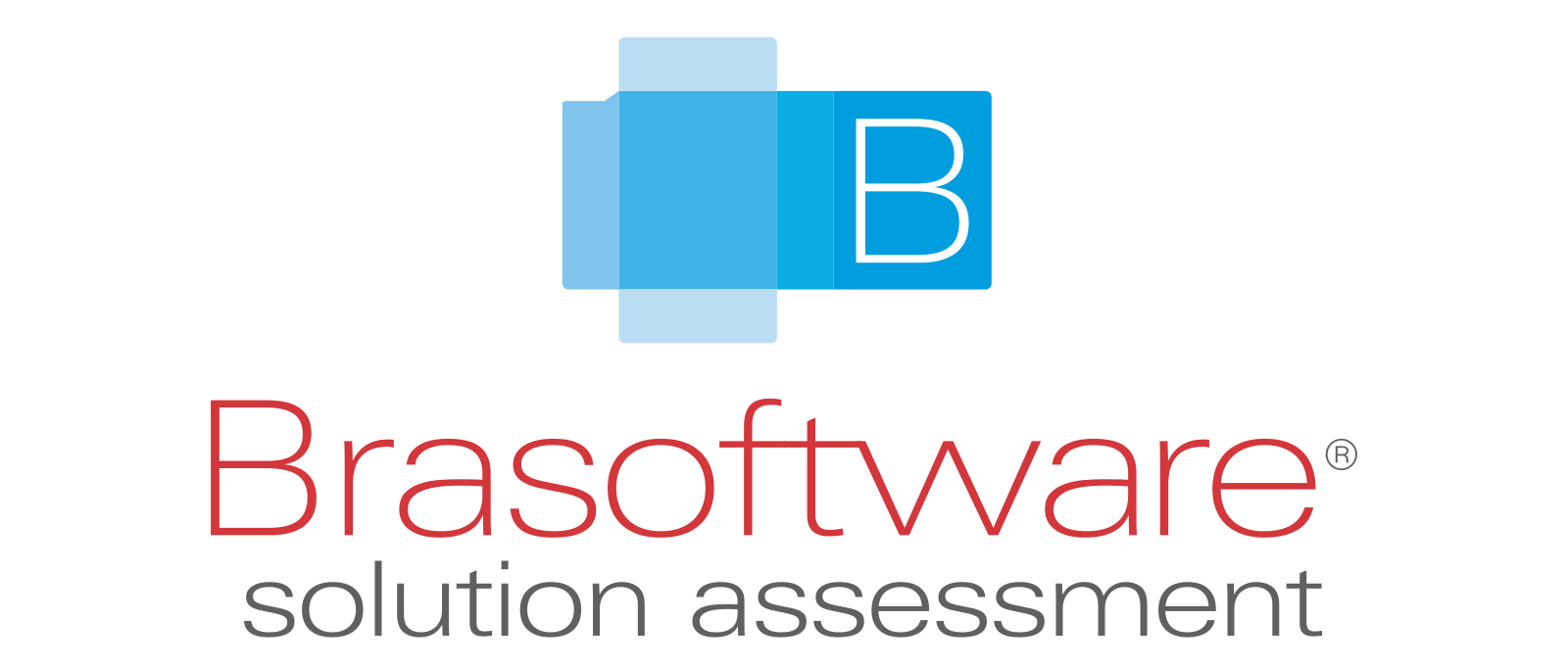 Logo Brasoftware Solution Assessment
