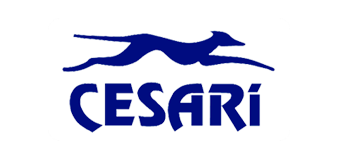 O logo do Grupo Cesari